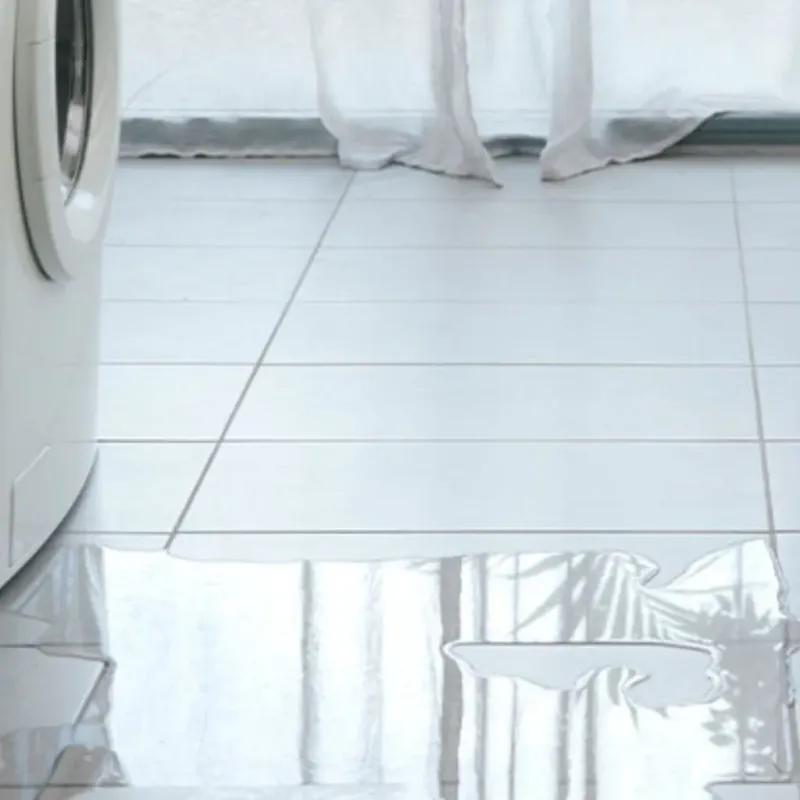 Appliance Leak Cleanup in Chowan County, NC