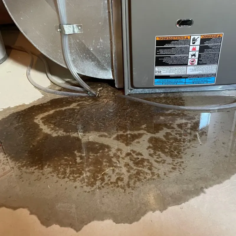Pipe Burst and Leak Restoration in Chowan County, NC