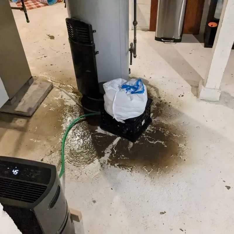 Sewage Backup Cleanup Service in Chowan County, NC